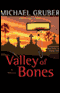 Valley of Bones audio book by Michael Gruber