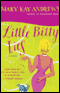 Little Bitty Lies audio book by Mary Kay Andrews