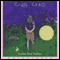 Criss Cross (Unabridged) audio book by Lynne Rae Perkins