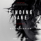 Finding Jake: A Novel (Unabridged) audio book by Bryan Reardon