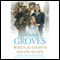 When the Lights Go On Again (Unabridged) audio book by Annie Groves