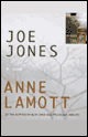 Joe Jones (Unabridged) audio book by Anne Lamott
