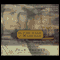 In the Wake of Madness: The Murderous Voyage of the Whaleship Sharon (Unabridged) audio book by Joan Druett