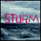 Sturm audio book by Nicholas Shakespeare