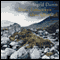 Diese Einsamkeit ohne berflu audio book by Sigrid Damm