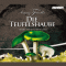 Die Teufelshaube audio book by Ariana Franklin