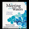The Meeting of the Waters: 7 Global Currents That Will Propel the Future Church (Unabridged) audio book by Fritz Kling