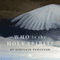 Who Is the Holy Spirit? audio book by Sinclair B. Ferguson