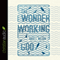 The Wonder-Working God: Seeing the Glory of Jesus in His Miracles (Unabridged) audio book by Jared C. Wilson