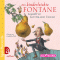 Der kinderleichte Fontane audio book by Gotthard Erler