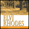 Mulberry Lane (Unabridged) audio book by Elvi Rhodes