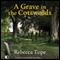 A Grave in the Cotswolds (Unabridged) audio book by Rebecca Tope