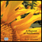 A Harvest of Sunflowers (Unabridged) audio book by Ruth Silvestre