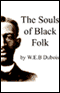 The Souls of Black Folk (Unabridged) audio book by W.E.B. Dubois