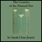 The Country of the Pointed Firs (Unabridged) audio book by Sarah Orne Jewett