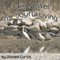 Daily Power for Joyful Living (Unabridged) audio book by Donald Curtis