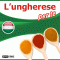 L'ungherese per te audio book by div.