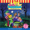 Der Hexengeburtstag (Bibi Blocksberg 49) audio book by Ulli Herzog