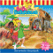 Das feuerrote Nashorn (Bibi Blocksberg 62) audio book by Ulli Herzog