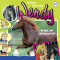 Sorge um Wirbelwind (Wendy 47) audio book by Nelly Sand
