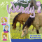 Im Land der Fjordpferde (Wendy 53) audio book by Nelly Sand