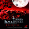 Racheengel (Black Dagger 13) audio book by J. R. Ward