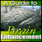 A Guide to Brain Enhancement (Unabridged)