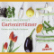 Gartenirrtmer audio book by Michael Breckwoldt