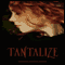Tantalize (Unabridged) audio book by Cynthia Leitich Smith