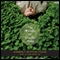 The Wonder of Charlie Anne (Unabridged) audio book by Kimberly Fusco