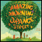 One Day and One Amazing Morning on Orange Street (Unabridged) audio book by Joanne Rocklin