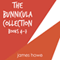 The Bunnicula Collection: Books 4-7: Nighty-Nightmare; Return to the Howliday Inn; Bunnicula Strikes Again!; Bunnicula Meets Edgar Allan Crow (Unabridged) audio book by James Howe