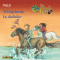 Wildpferde in Gefahr (Die magische Insel 3) audio book by Thilo