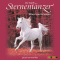 Silbersterns Geheimnis (Sternentnzer 11) audio book by Lisa Capelli