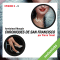 Chroniques de San Francisco: Episode 4 audio book by Armistead Maupin