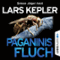 Paganinis Fluch audio book by Lars Kepler