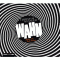 Wahn. Stories audio book by Christof Kessler