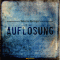 Auflsung audio book by Valerie Springer