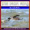 The Iron Ring (Unabridged) audio book by A.L.O.E.