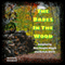 The Babes in the Wood (Unabridged) audio book by Kate Douglas Wiggin, Nora A. Smith