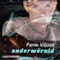 Onderwreld [Underworld] (Unabridged) audio book by Fanie Viljoen