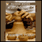 Thiruppi Podu: The Art of Creative Thinking (Unabridged) audio book by Sibi K Solomon