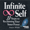 Infinite Self: 33 Steps to Reclaiming Your Inner Power (Unabridged) audio book by Stuart Wilde