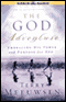 The God Adventure: Embracing His Power and Purpose for You (Unabridged) audio book by Terry Meeuwsen