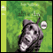 Alive Day: A Story of Love and Loyalty (Unabridged) audio book by Tom Sullivan