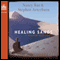 Healing Sands: A Sullivan Crisp Novel (Unabridged) audio book by Nancy Rue, Stephen Arterburn