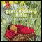 The Preschooler's Bible (Unabridged) audio book by V. Gilbert Beers