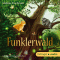 Funklerwald audio book by Stefanie Taschinski