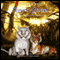 Tigers' Quest audio book by Lord Steven