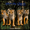 After the Quest (Dramatized): Tigers' Quest III audio book by Lord Steven